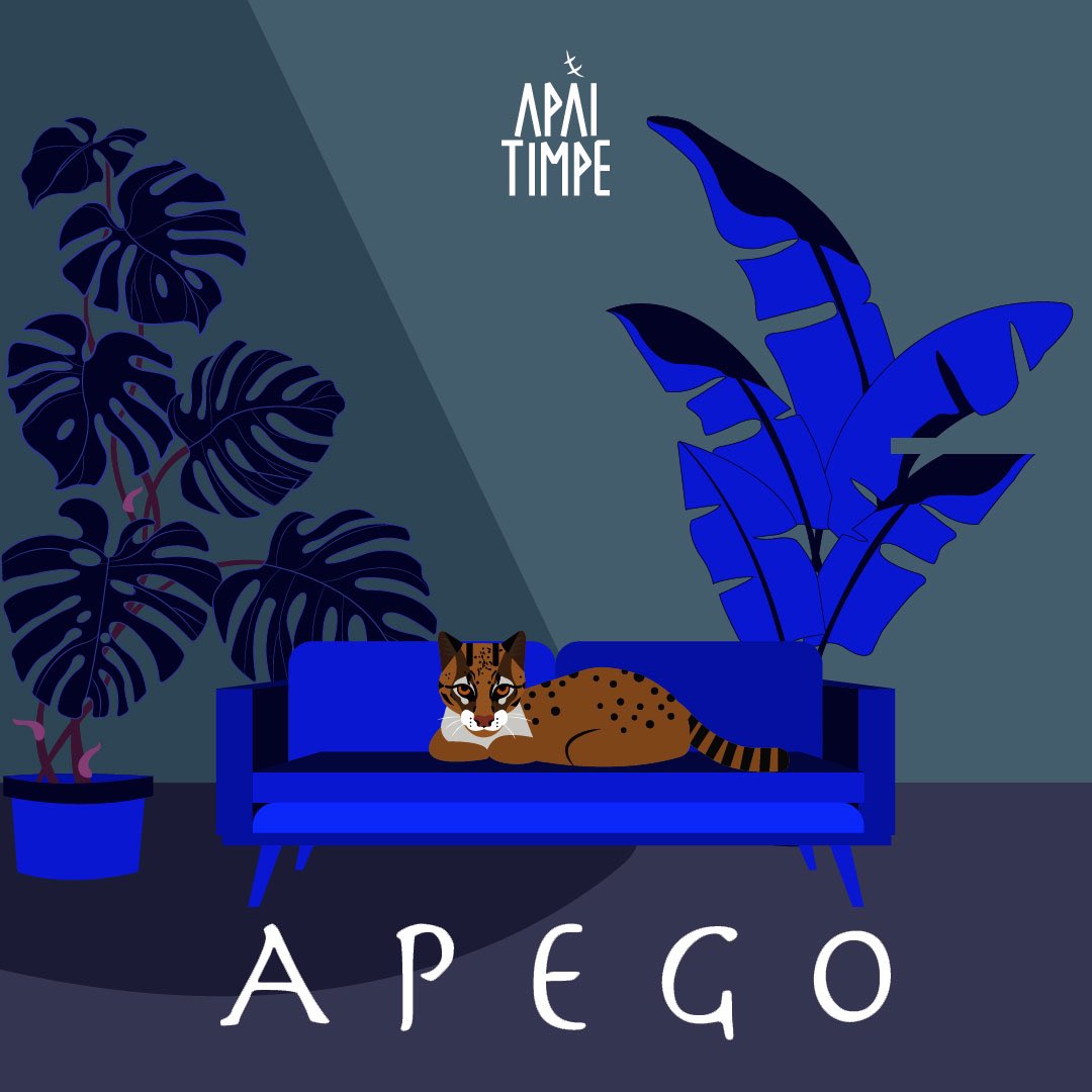 Apego se origina del desamor.
Una historia contada por un gato.
Un cunaguaro.
Felino que se enamora de una mujer “Nuna”