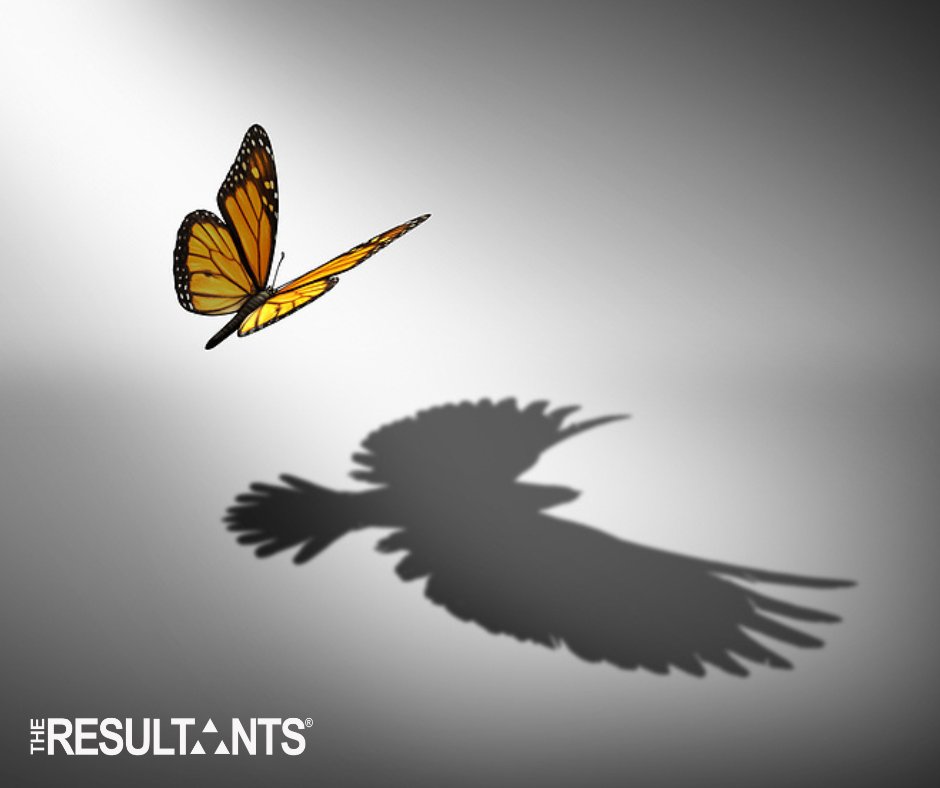 "The only person you are destined to become is the person you decide to be." ― Ralph Waldo Emerson