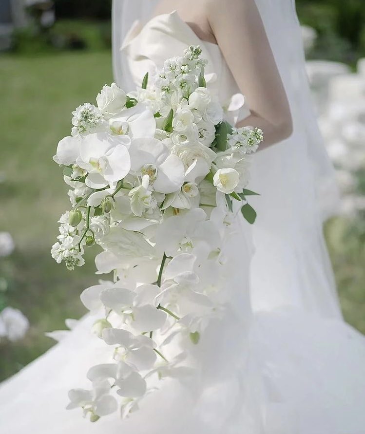 ✣ вяι∂αℓ fℓσωєяѕ αяє ωσи∂єяfυℓ…тσ мιℓ ❤︎