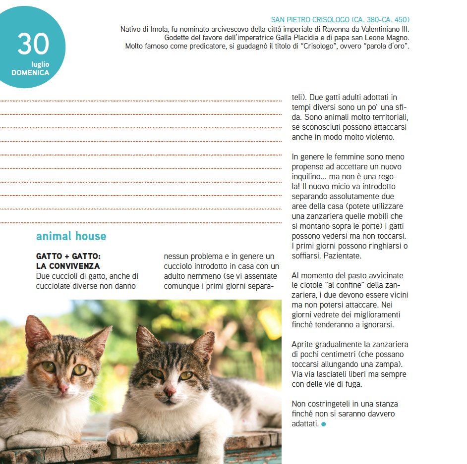 Buona Domenica a tutti! Cosa succede quando decidiamo di far convivere due gatti? #Adesso vi dà dei suggerimenti. Oggi è San Pietro Crisologo.