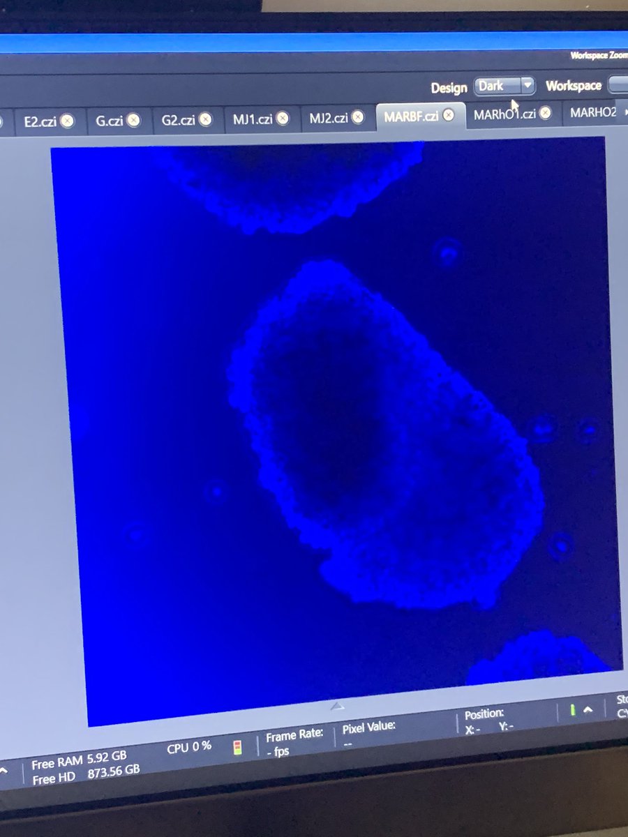 Mar Eroles tweet media