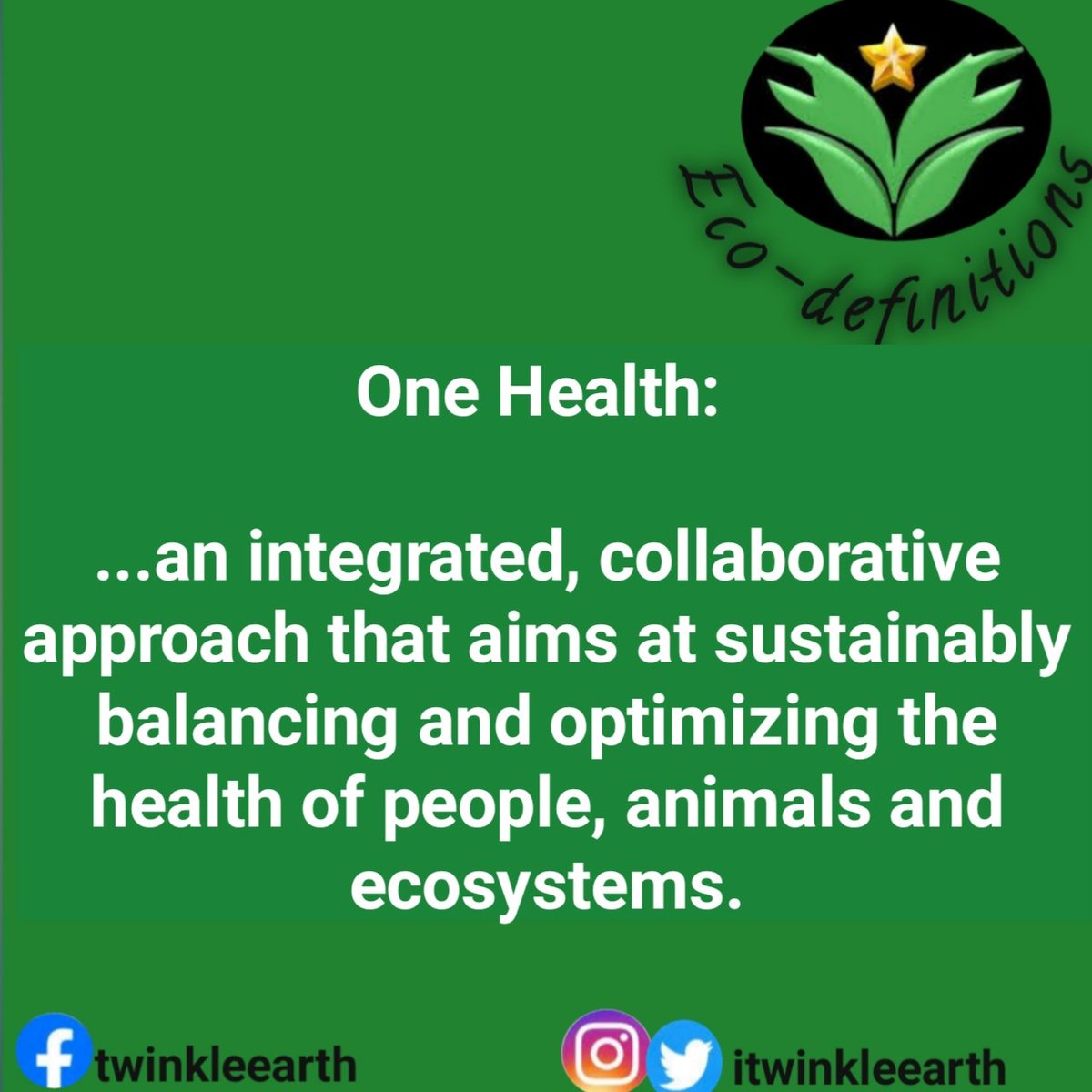 itwinkleearth's tweet photo. It's no longer news that the health of humans, animals, plants &amp; the natural environment are interlinked.

This means that global/#publichealth issues can best be addressed holistically and collaboratively across all disciplines.

#OneHealth 
#ecoknowledge
#globalhealth https://t.co/9aj7uLbdv2
