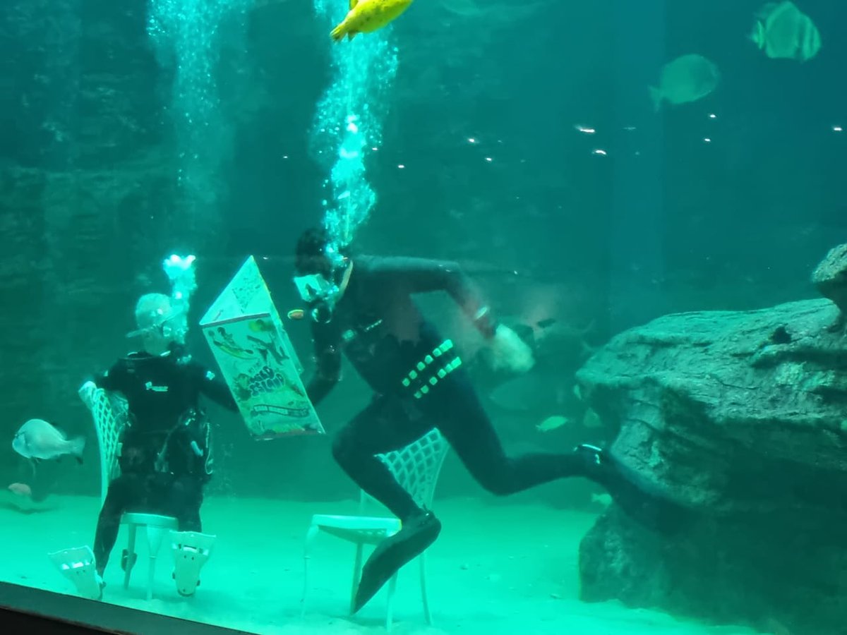 NoSurrenderRSA's tweet image. Before a live audience teeming with wide-eyed children:
The World's First public Underwater Book Launch!
Welcome to: "My First Wild Island Adventure" - published by @PenguinKidsSA
What a day, @riaanmanser!