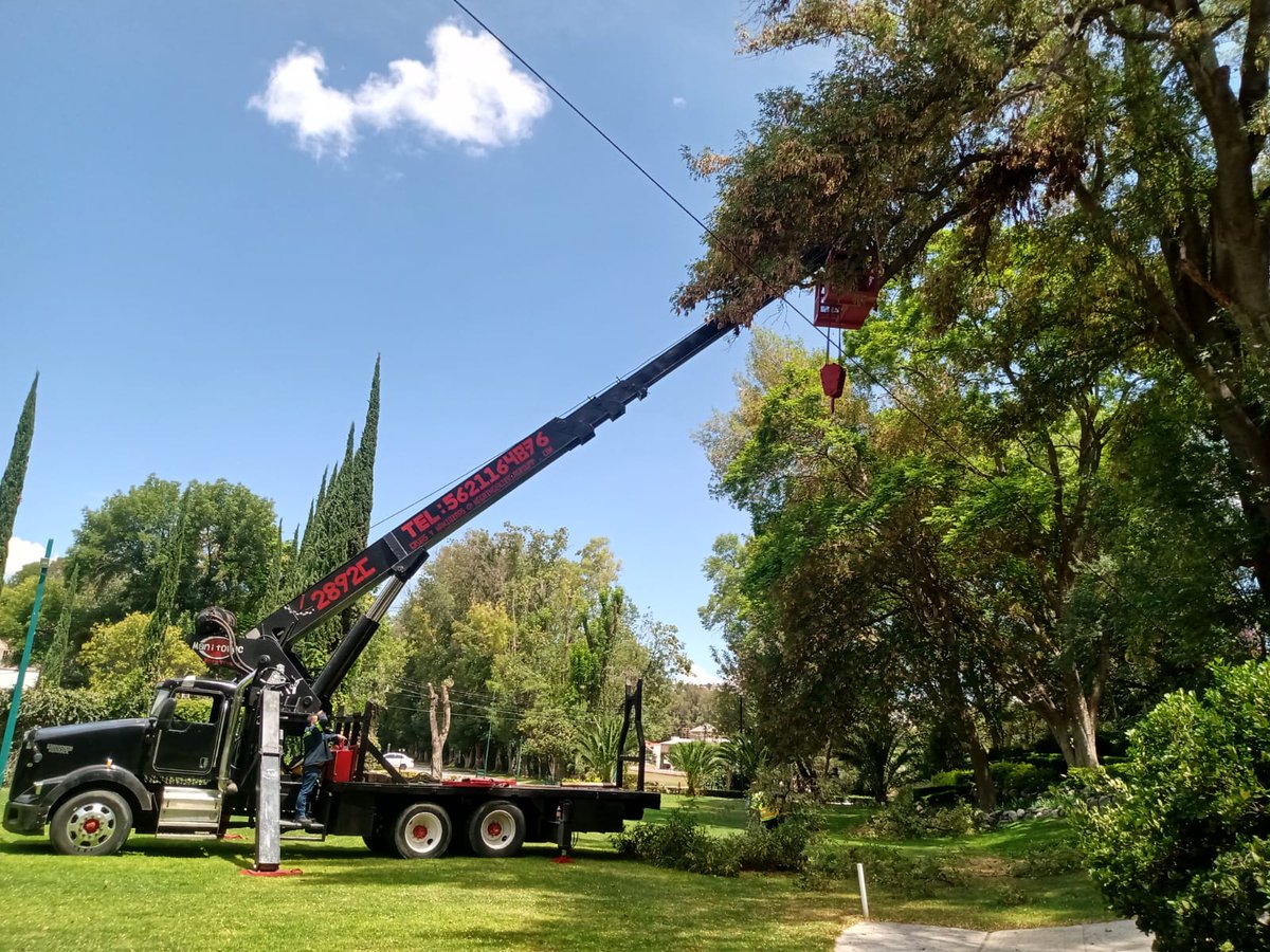 Grúa industrial tipo titán con pluma hidráulica de hasta 45 m de altura con canastilla fija para dos personas disponibilidad inmediata llámanos al 56 21 16 48 76 estamos para servirle
#SpeakNowTaylorsVersion #JungKook_Seven #threadapp #DoItLikeThat #TrenSarmiento #TaylorSwiftEr