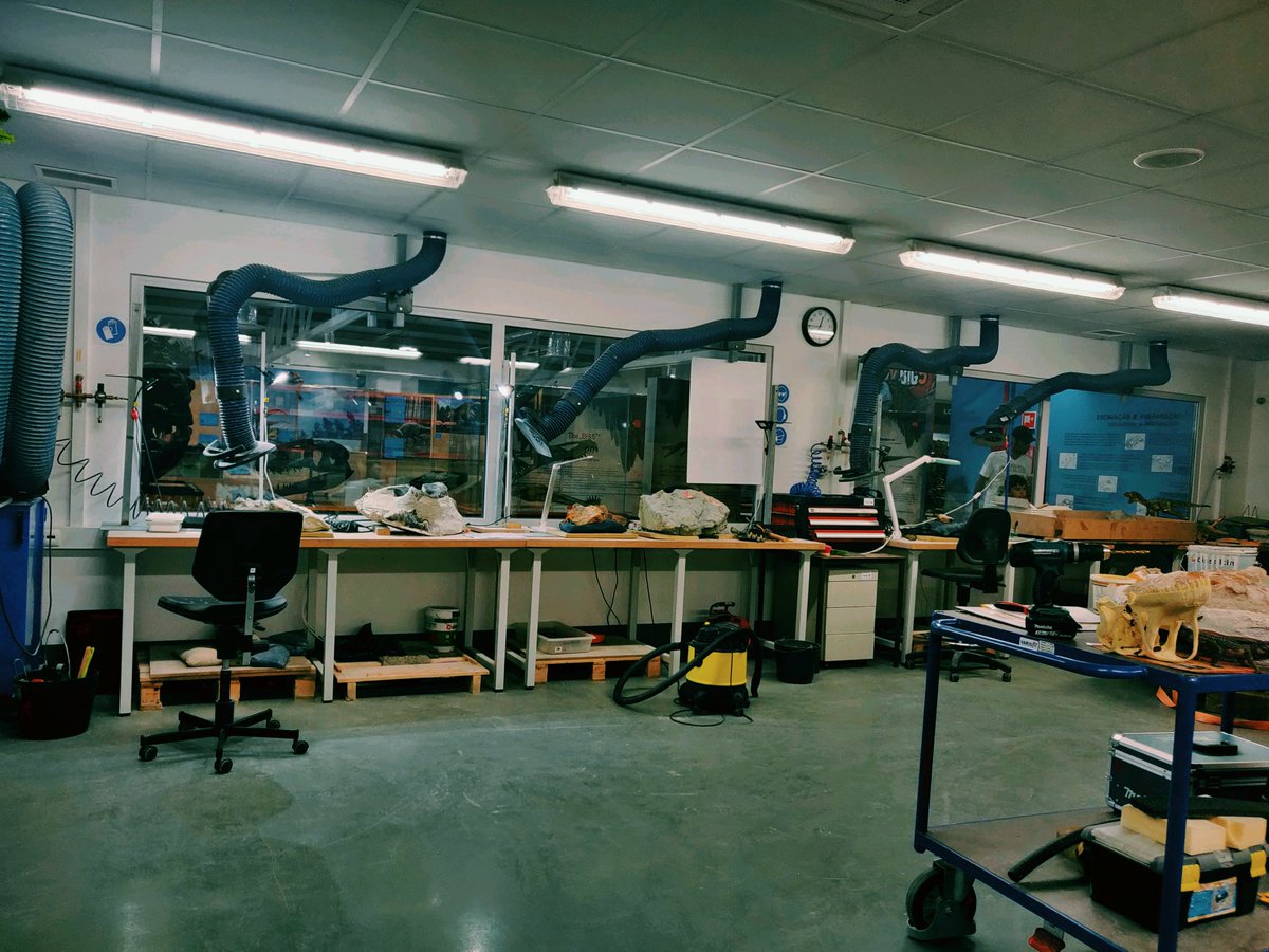 Marie Mejerwall tweet media