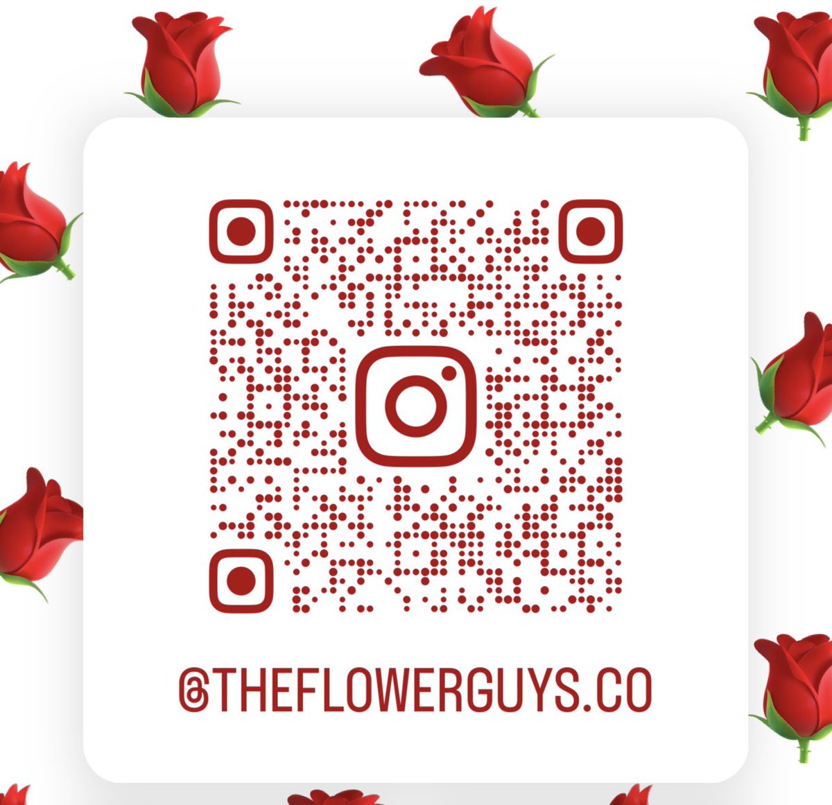 NachitoMoon's tweet photo. anyone still around here?

Follow us on Instagram @TheFlowerGuysCo 

#BuyFlowersFromTheGays https://t.co/oVdPHtsvtD