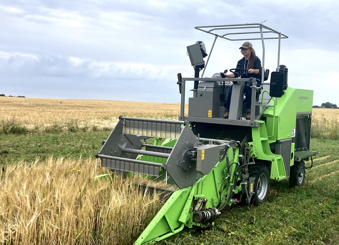 Livestock & Forage Centre of Excellence (@lfce_usask) on Twitter photo ICYMI: <a href="/usask/">U of Saskatchewan</a> researchers aim to reclaim saline soils. Read more: lfce.usask.ca/news/usask-res… ICYMI: <a href="/usask/">U of Saskatchewan</a> researchers aim to reclaim saline soils. Read more: lfce.usask.ca/news/usask-res…