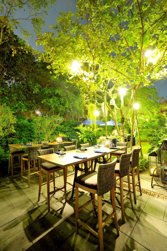 david_weldon's tweet photo. Check out this awesome idea for backyard lighting! If you're hosting a dinner of some sort at home, you would be wise to take some notes from this setup. https://t.co/09fWAHmXFc https://t.co/9XXI45ZDbA