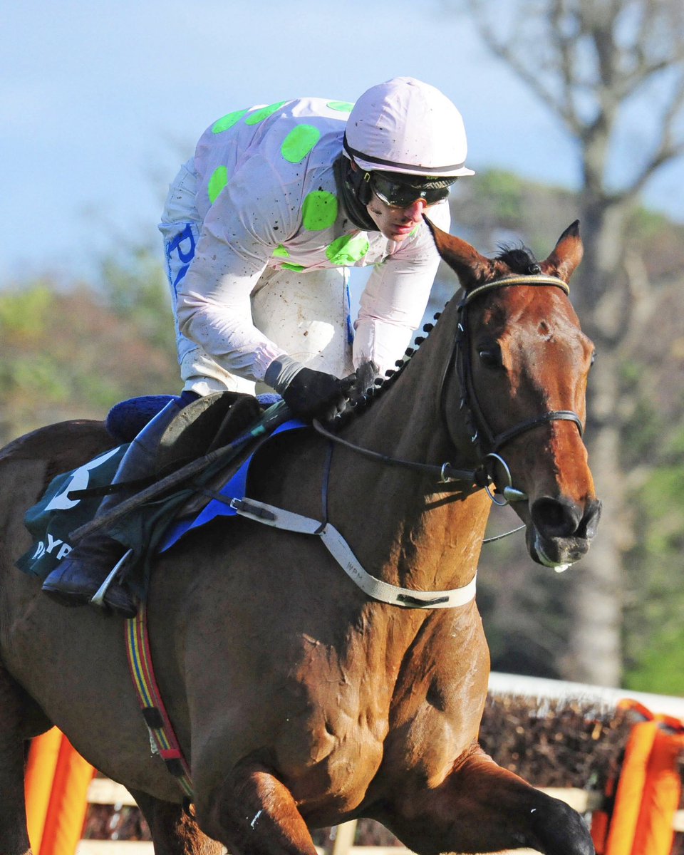 At The Races tweet media