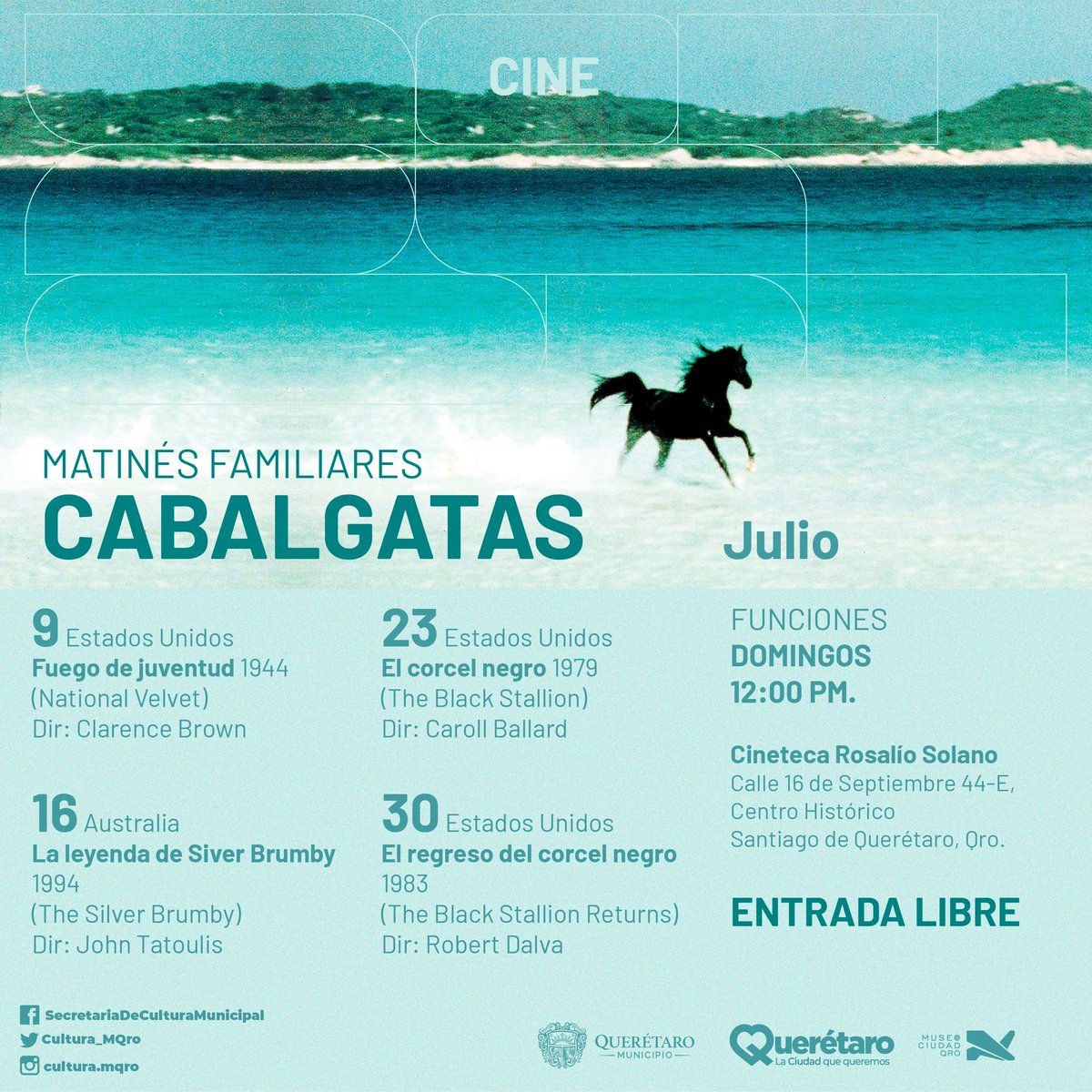 #MatinésFamiliares | CABALGATAS 🐎
📅 Domingos de julio,⏰ 12:00 h
📍 Cineteca Rosalío Solano
Entrada libre 🎫