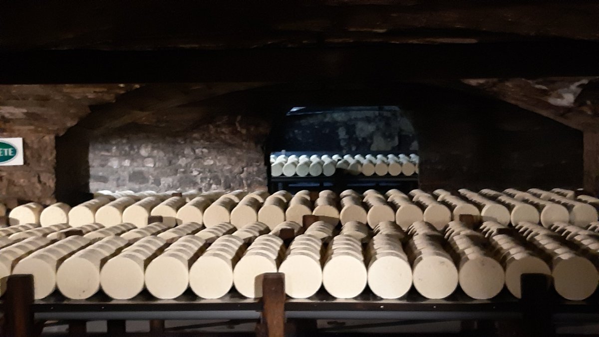 CharlotteDockes's tweet image. Et surtout ... sans elevage pas de @RoquefortAOP !!!
Superbe visite des caves et découverte de la filière avec les équipes #INOSYS @InstitutElevage @ChambagriFrance 
Merci pour l'accueil !