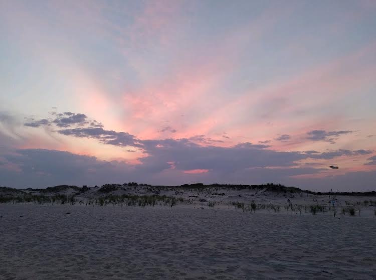 Oliver Shipley (@ollieshipley) on Twitter photo Excited to share that I have begun working as a Research Assistant Professor at <a href="/SoMAS/">School of Marine and Atmospheric Sciences at SBU</a> <a href="/stonybrooku/">Stony Brook University</a>
I have several new projects with support for MS and PhD students interested in marine animal #telemetry and #ecophysiology.
Please reach out if you are interested! Excited to share that I have begun working as a Research Assistant Professor at <a href="/SoMAS/">School of Marine and Atmospheric Sciences at SBU</a> <a href="/stonybrooku/">Stony Brook University</a>
I have several new projects with support for MS and PhD students interested in marine animal #telemetry and #ecophysiology.
Please reach out if you are interested!