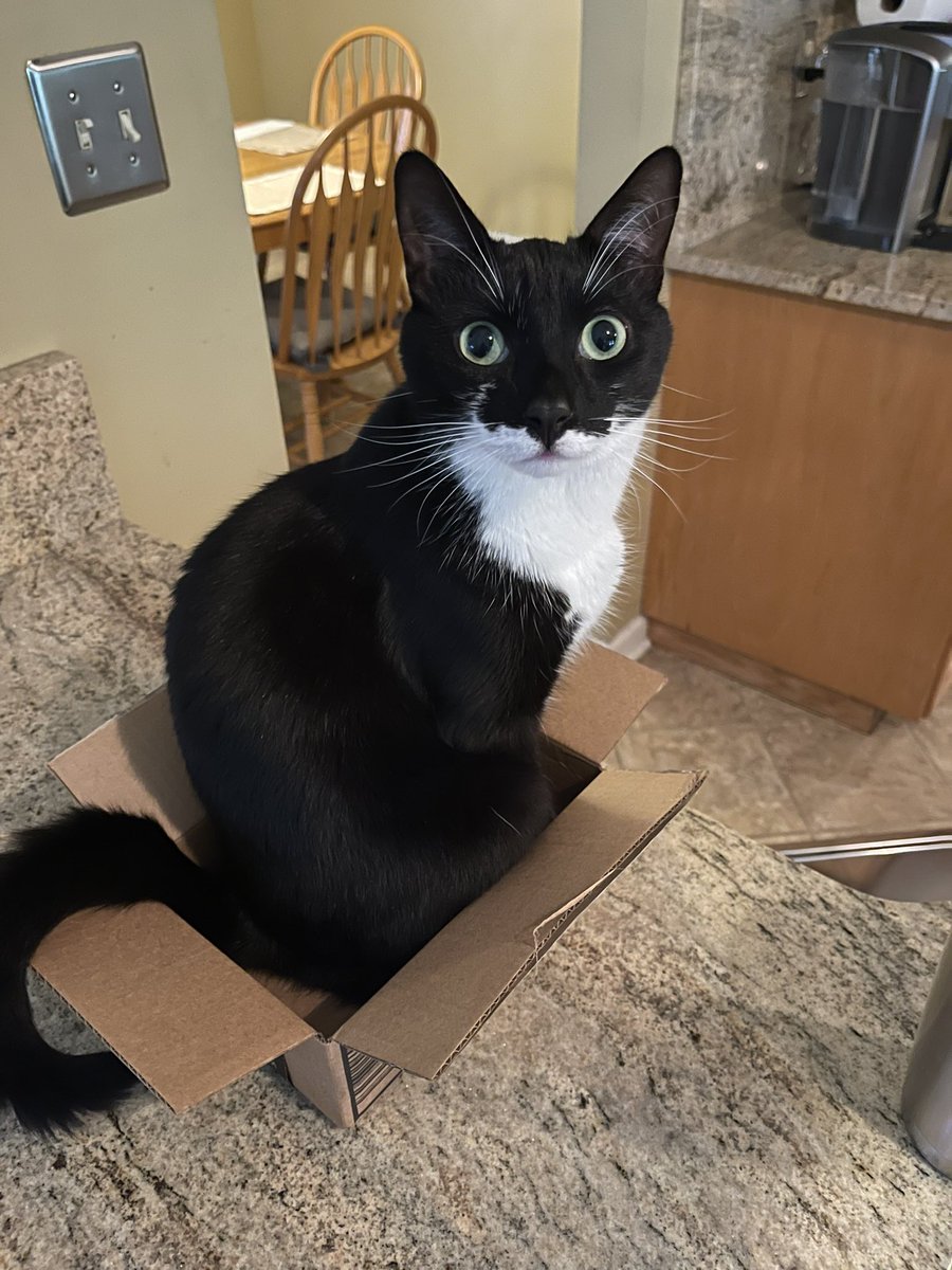 Maximum atheist tweet media