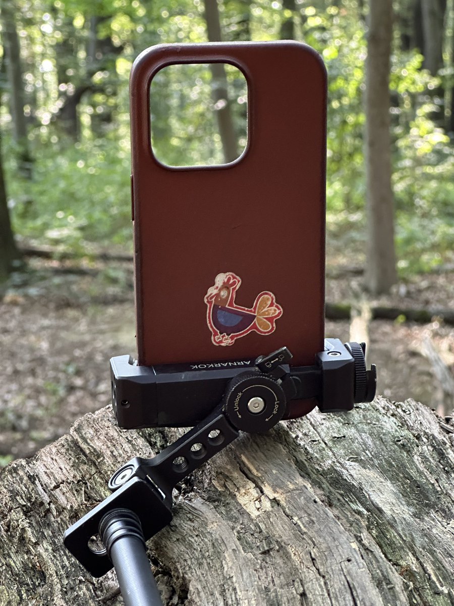 tom deerberg tweet media