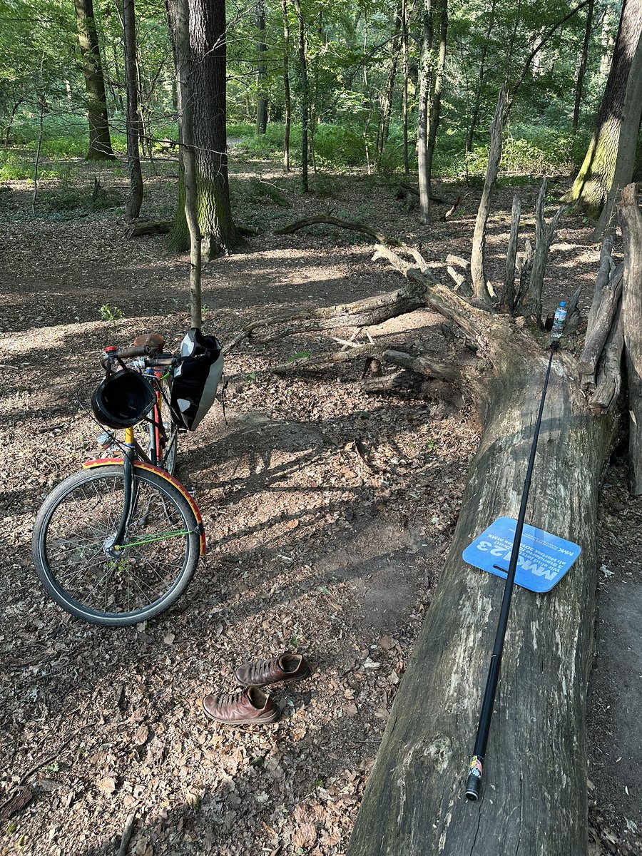 tom deerberg tweet media