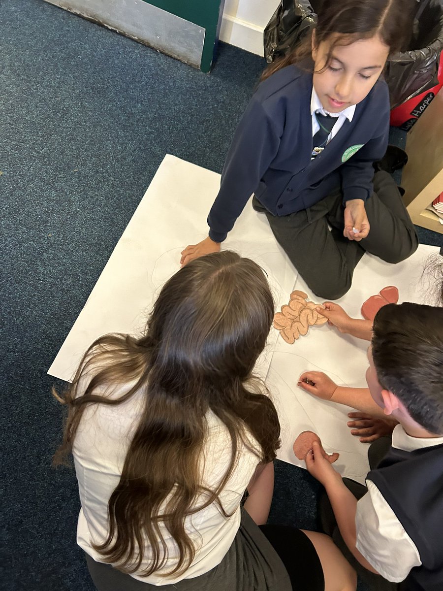 ASALeavers25's tweet photo. Yesterday we drew an outline of a human and placed the organs of the digestive system inside.  #ASAScientists https://t.co/CvQS613kCZ