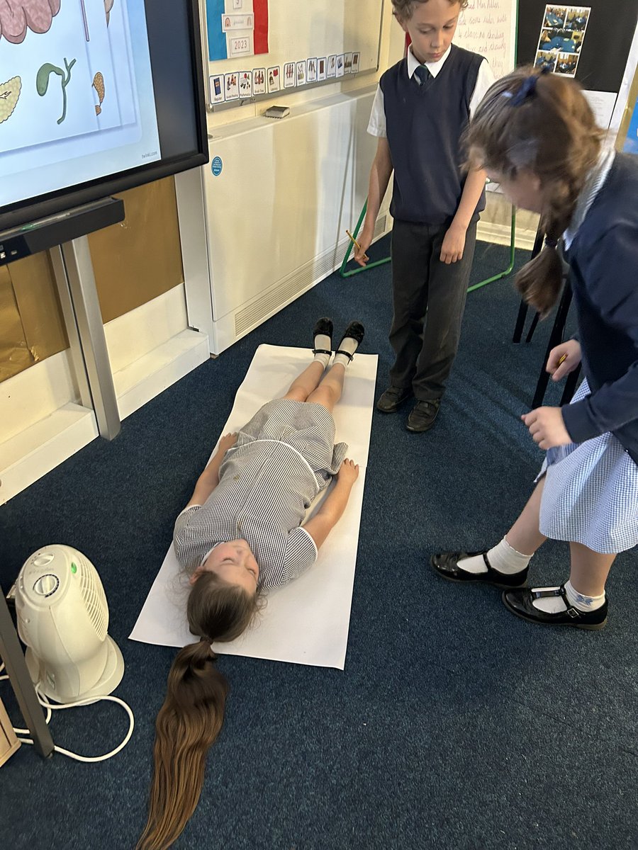ASALeavers25's tweet photo. Yesterday we drew an outline of a human and placed the organs of the digestive system inside.  #ASAScientists https://t.co/CvQS613kCZ