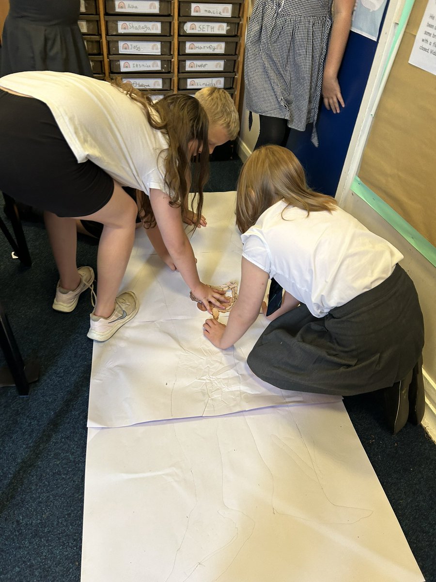 ASALeavers25's tweet photo. Yesterday we drew an outline of a human and placed the organs of the digestive system inside.  #ASAScientists https://t.co/CvQS613kCZ