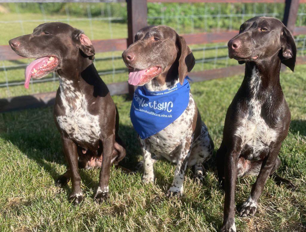 Our NHS colleagues can’t wait to see you all in the morning for our <a href="/NottsHealthcare/">Nottinghamshire Healthcare</a> takeover for the NHS’s 75th Birthday!

We have planned good weather, decorations and awesome NHS volunteers! There may also be a few little extras… 💙
<a href="/parkrunUK/">parkrun UK</a> <a href="/PSH_A1674/">Paul Sinton-Hewitt CBE</a> <a href="/runwritekirsty/">Kirsty Woodbridge</a>
