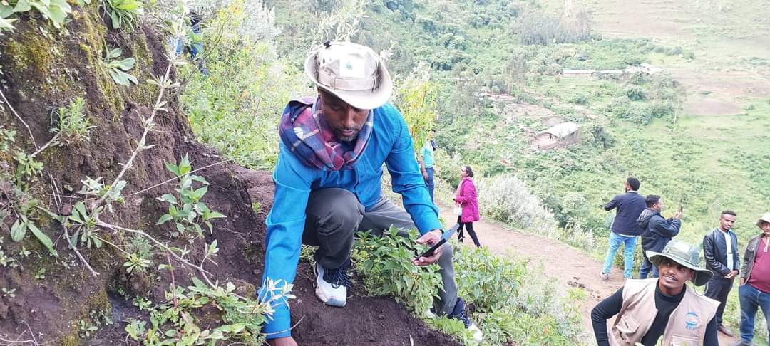 Hailemariam_Kef's tweet photo. I,with H.E YalAlem Fantahun,the administer and guests planted seedlings in North Gonder, Dabat as beginning of the Zonal Green Legacy .My heart felt proud for being on the heart of the land that produce brave fighters of sovereignty and freedom, North Gonder.HONER FOR OUR HEROS ! https://t.co/7Whq7rGzdU