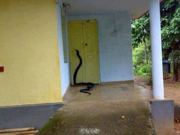 Python入門（物理）