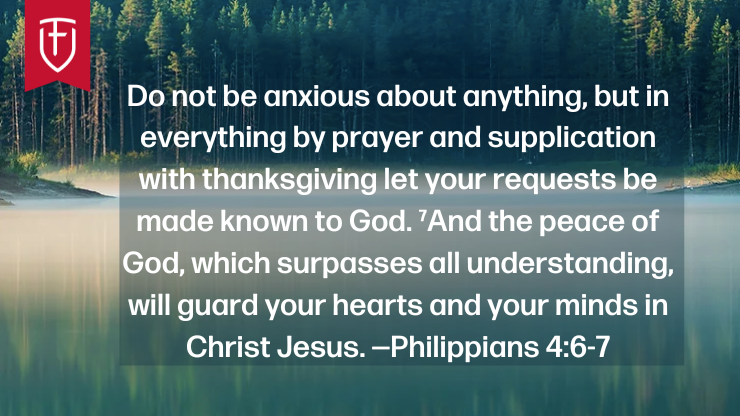 FighterVerses's tweet photo. What do you do with fretful circumstances? Continue to be anxious or bring your worries to God? He is the only One who is willing and able to care for every concern of your life. Read Jodi Ware's “Peace from God’s Nearness.” #FighterVerses https://t.co/9zvkD1h0kE https://t.co/LmxCgwXOpq