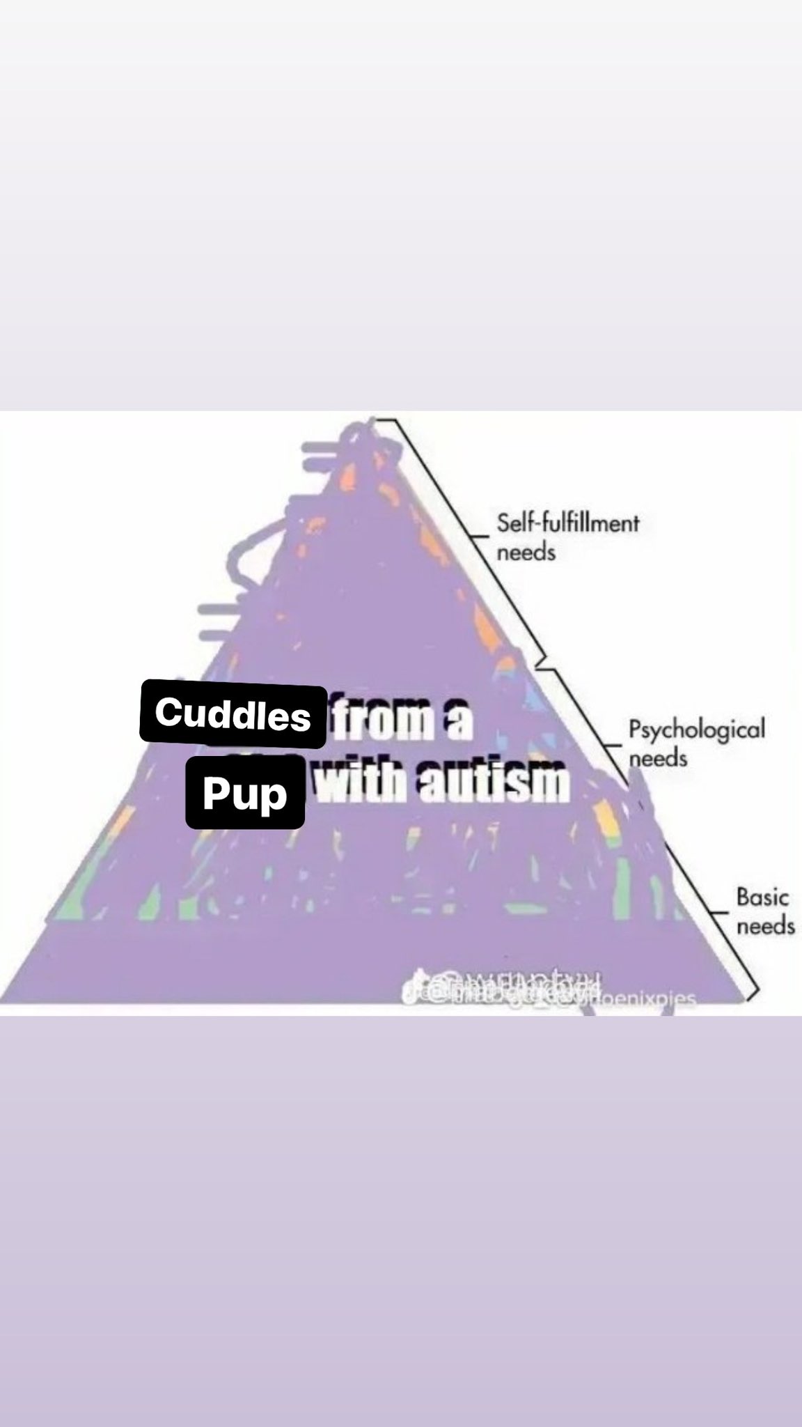 Pup Lykos TBRU Rep. NBB (Dallas,TX) on Twitter "Look, you know it’s