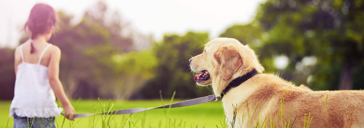 AllianceReloSrv's tweet image. 🔆🏡 Summer moves with kids &amp;amp; pets? Stay cool with #AllianceRelocationServices! Hydrate 🥤, pack cool snacks 🍦, take breaks in shade ⛱️, use sun protection 🕶️, monitor for heatstroke signs 🌡️. We move your life with care. #SummerMove #FamilyFirst 📦🔆🌴