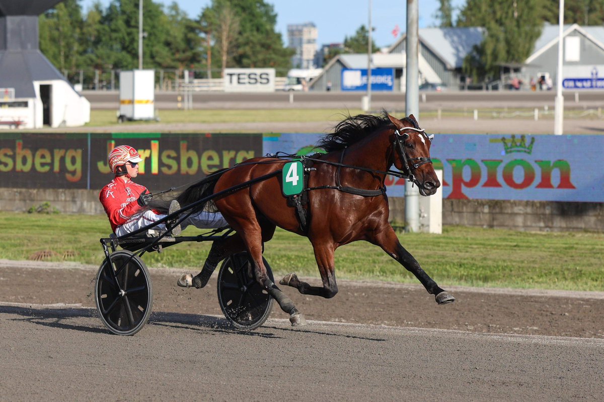 Første kval - JGP 2023
Born In Bergen styrte fra start til mål etter en siste 500 på 08,9 sammen med Bjørn Steine🤩

Hesten er trent av Kim Pedersen, og er eid og oppdrettet av Ståle Dyngeland✨

Videre til finale gikk også Just Perfect Sisu, Petho og Painted Genius⭐️