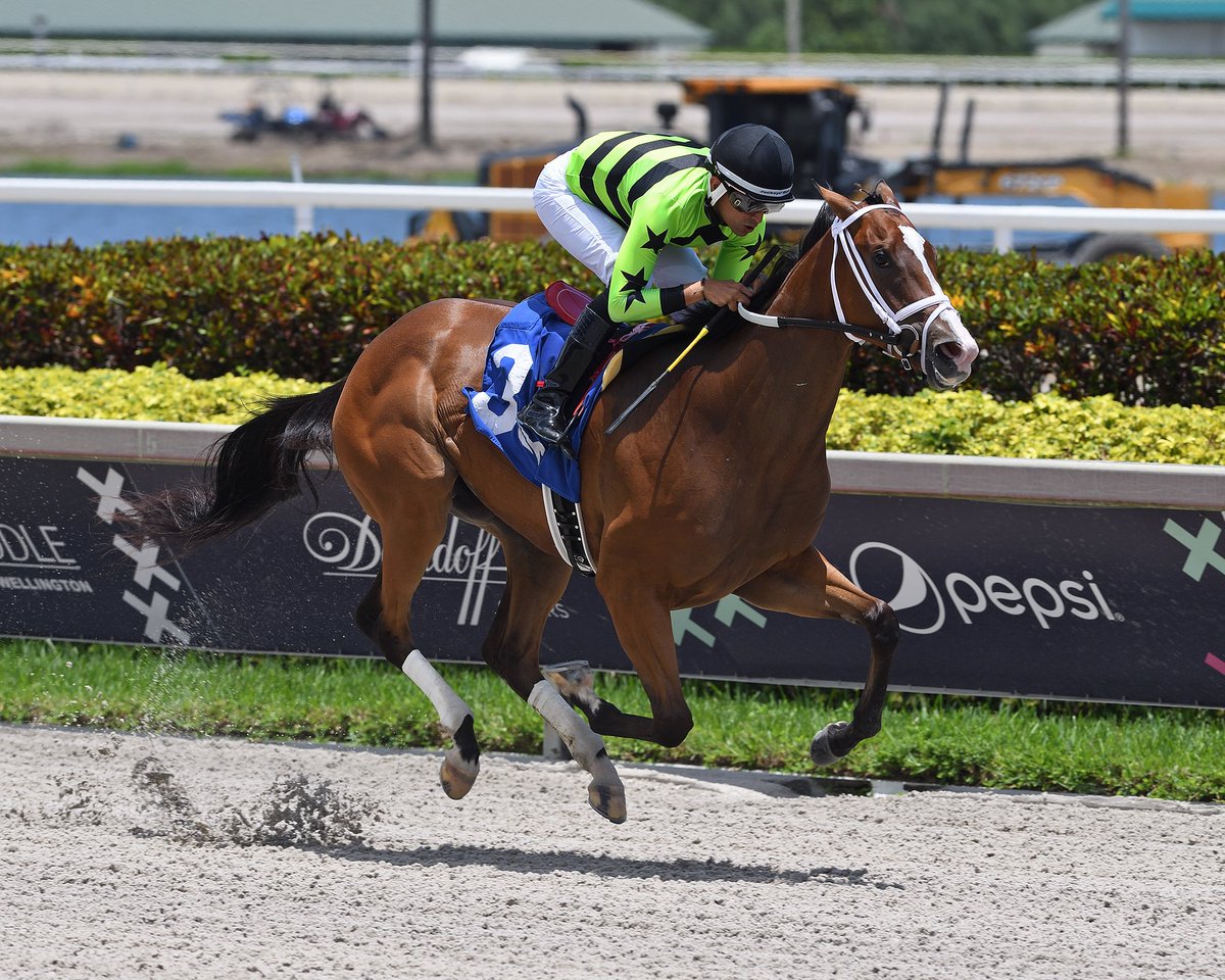 GulfstreamPark's tweet photo. Let Them Watch impressively breaks her maiden in the second race, @HectorDiazjr4 rode for @trainerMMaker and owner Case Chambers. #GulfstreamPark #RoyalPalmMeet https://t.co/gWx20tU93L