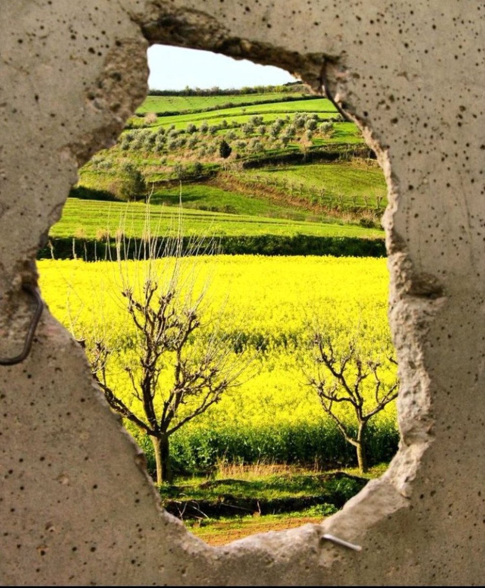 "Çoğu değişim büyük sarsıntılardan sonra olur. Yara alınır, acı çekilir ve insan göremediğini görür, değişir."