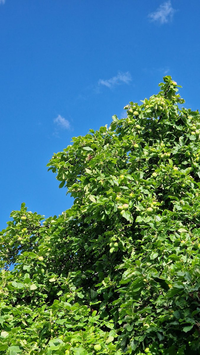 Richard Prideaux tweet media