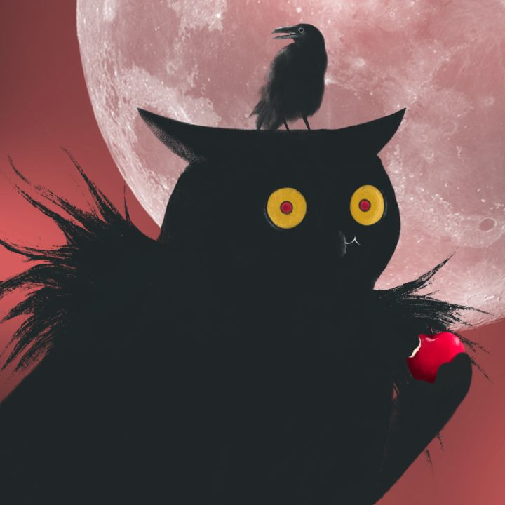 每日1u疯狂版Day35——疯狂一周🤑🤑

连续1周抽1人送 6.66666U #USDT

①关注 

②点赞＋转发

24h疯狂.😲😲