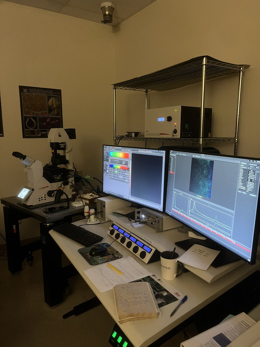 Farimah Mohammadi (@farimahmoh) on Twitter photo Spending the rest of the day here!
<a href="/ISUBio/">School of Biological Sciences at Illinois State</a>
#confocalmicroscopy Spending the rest of the day here!
<a href="/ISUBio/">School of Biological Sciences at Illinois State</a>
#confocalmicroscopy