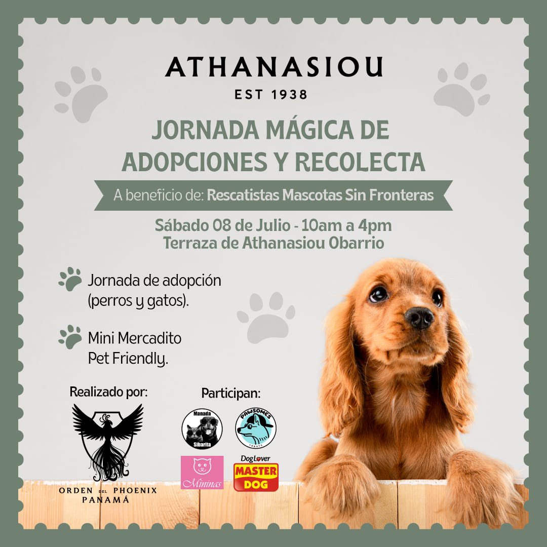 Mascotassinfronteras tweet media