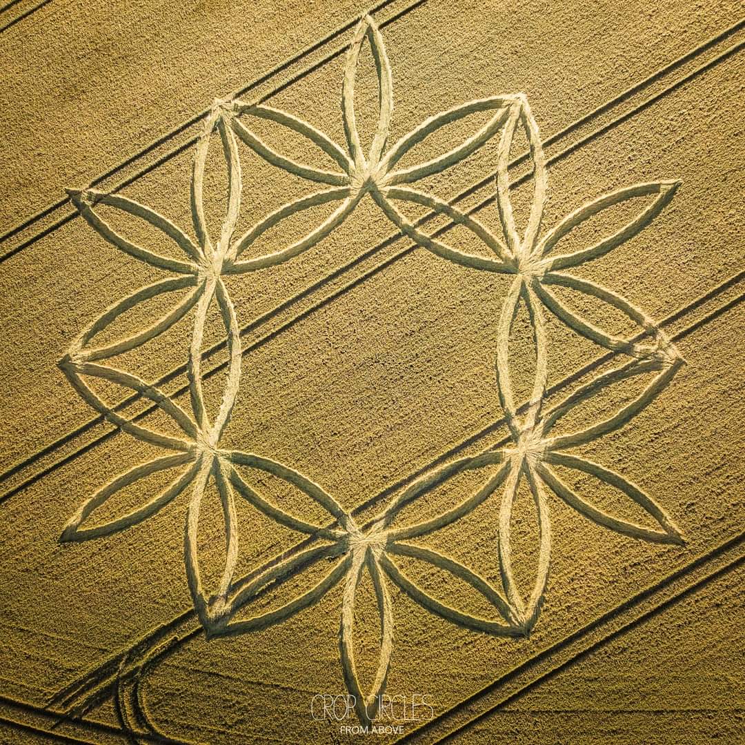 alikosmo's tweet photo. NUEVO CROP CIRCLE EN REINO UNIDO .

11° Nuevo #CropCircle es reportado en 
 #ScratchburyHillfort  #NortonBavant #Warminster #Reino Unido el día 7 de #Julio del 2023 .

Fotografías presentadas por #CROPCIRCLESFROMABOVE 

#REPORTEOVNICOAHUILAMX
#ALIENSAVKOSMOS https://t.co/nSJcxIwg1c