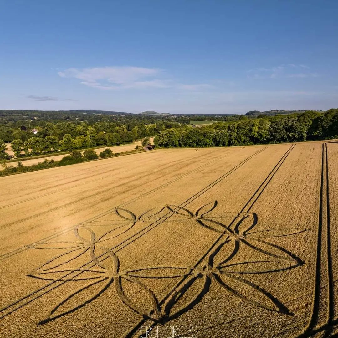 alikosmo's tweet photo. NUEVO CROP CIRCLE EN REINO UNIDO .

11° Nuevo #CropCircle es reportado en 
 #ScratchburyHillfort  #NortonBavant #Warminster #Reino Unido el día 7 de #Julio del 2023 .

Fotografías presentadas por #CROPCIRCLESFROMABOVE 

#REPORTEOVNICOAHUILAMX
#ALIENSAVKOSMOS https://t.co/nSJcxIwg1c
