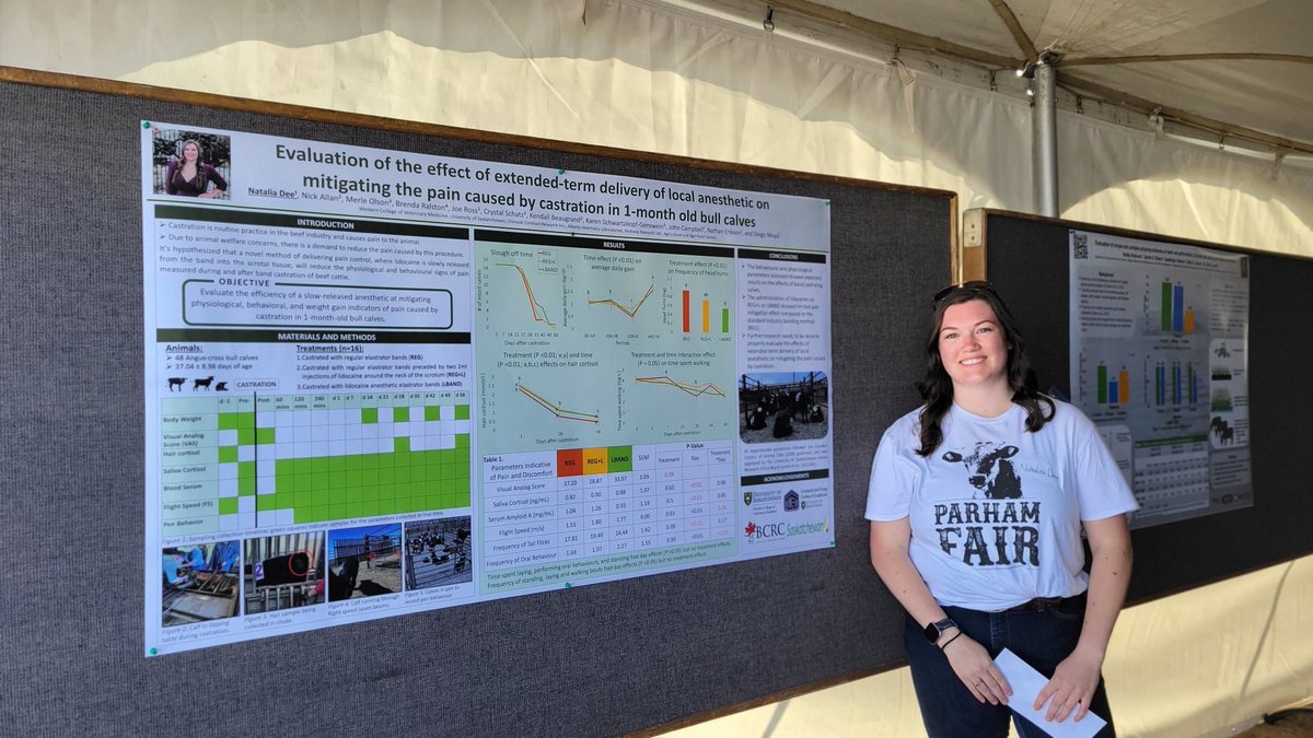 Livestock & Forage Centre of Excellence (@lfce_usask) on Twitter photo Congrats Natalia Dee from <a href="/usask/">U of Saskatchewan</a> #WCVM. 2nd place in grad student poster competition at our Summer Field Day presented by <a href="/Agribition/">Canadian Western Agribition</a> for evaluation of the effect of extended-term delivery of local anesthetic on mitigating the pain caused by castration, supervisor <a href="/DiegoMoyaSask/">Diego</a> Congrats Natalia Dee from <a href="/usask/">U of Saskatchewan</a> #WCVM. 2nd place in grad student poster competition at our Summer Field Day presented by <a href="/Agribition/">Canadian Western Agribition</a> for evaluation of the effect of extended-term delivery of local anesthetic on mitigating the pain caused by castration, supervisor <a href="/DiegoMoyaSask/">Diego</a>