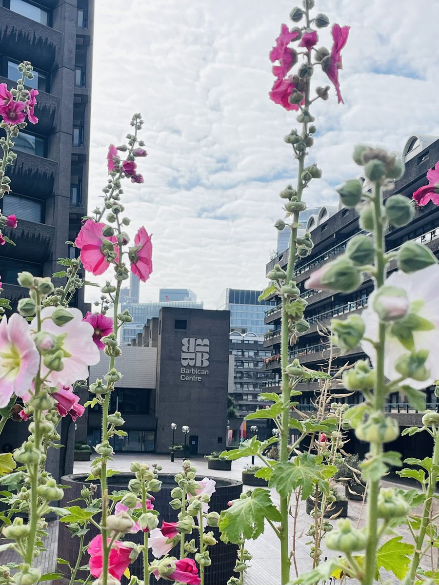 Great planting outside <a href="/BarbicanCentre/">Barbican Centre</a> 🥰