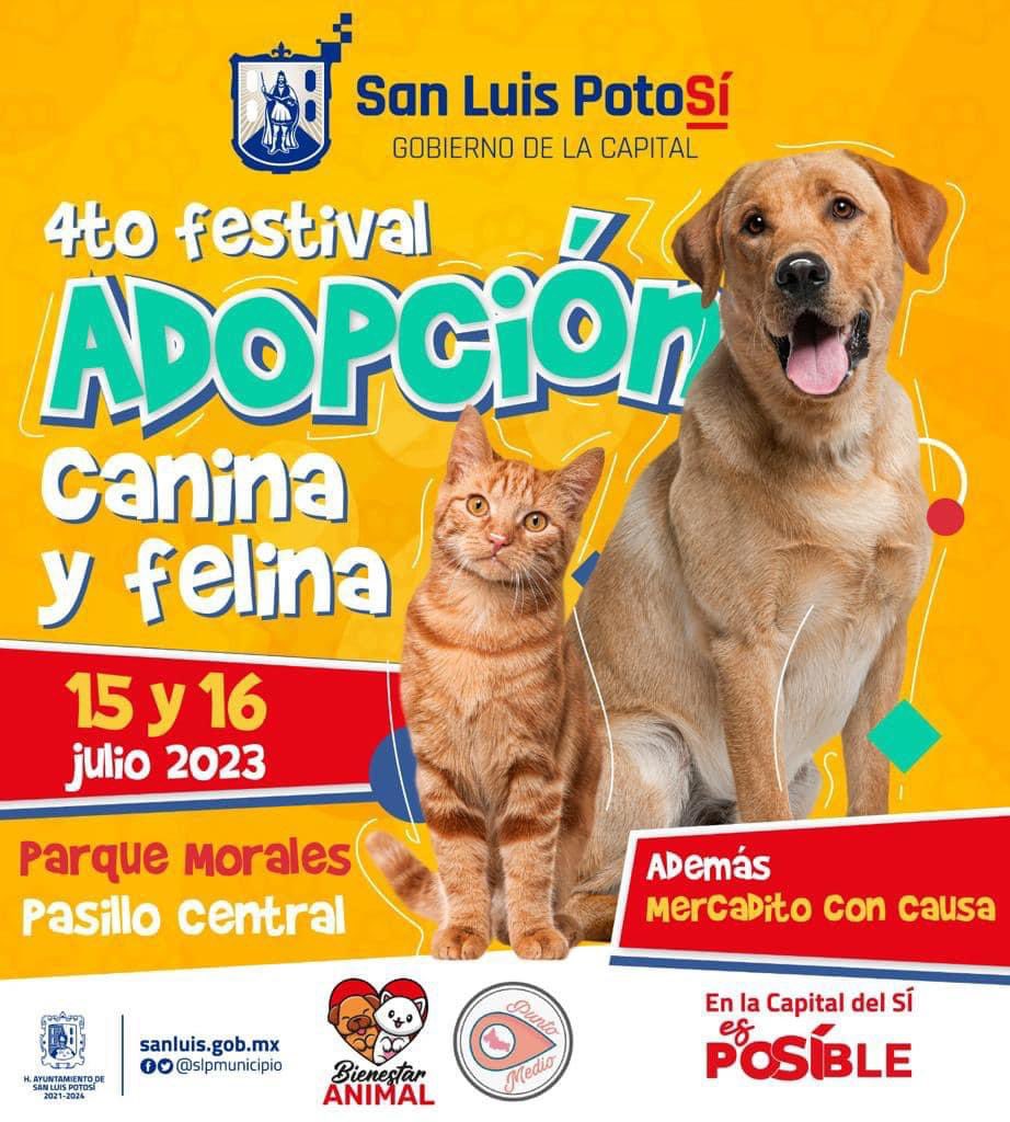 San Luis Capital promueve la amistad :)