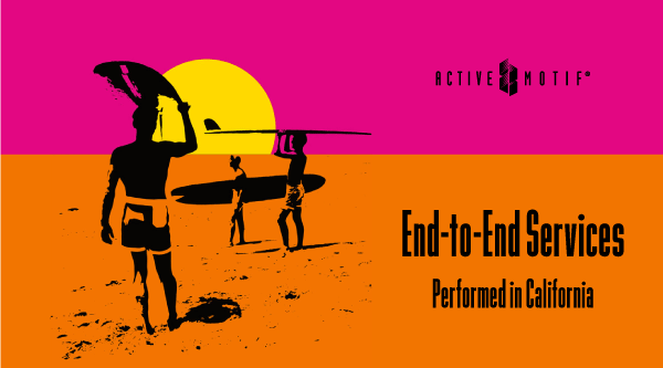 activemotif's tweet photo. 🏖️Use weekends for fun instead of being in the lab!
Our End-to-End #Epigenetic Services Team can help your team: from sample prep to bioinformatics to publication ready figures! https://t.co/LBaI7Jr3dA
#transcriptomics #genomics #RNASeq #ChIPSeq #CUTnTag #RRBS #MassSpec https://t.co/CpMO58sZm1