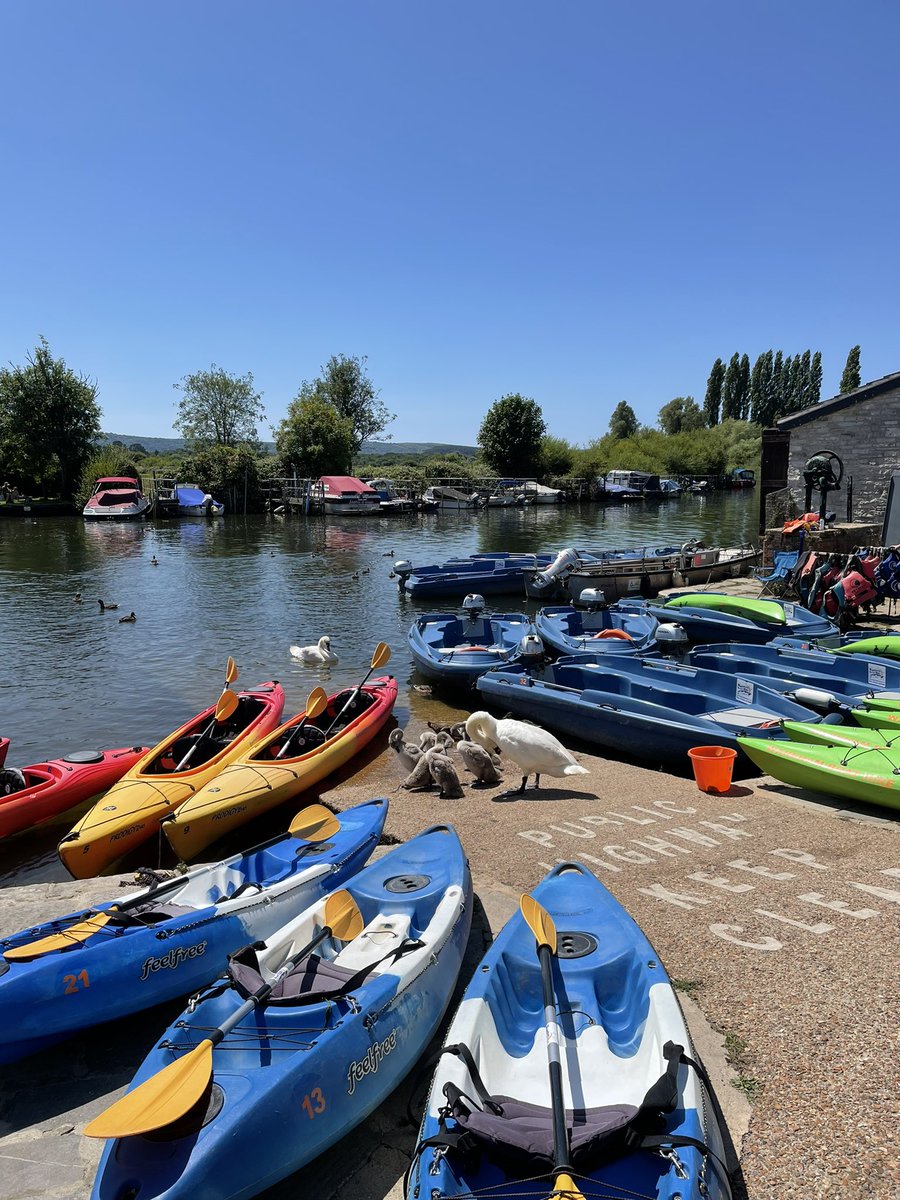 It’s beautiful on Abbot’s Quay, Wareham this afternoon ☀️