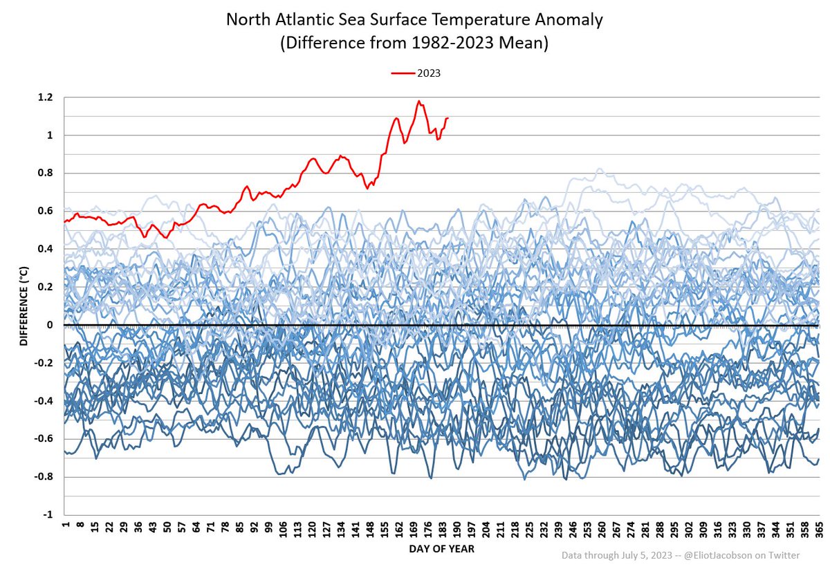 Prof. Eliot Jacobson tweet media