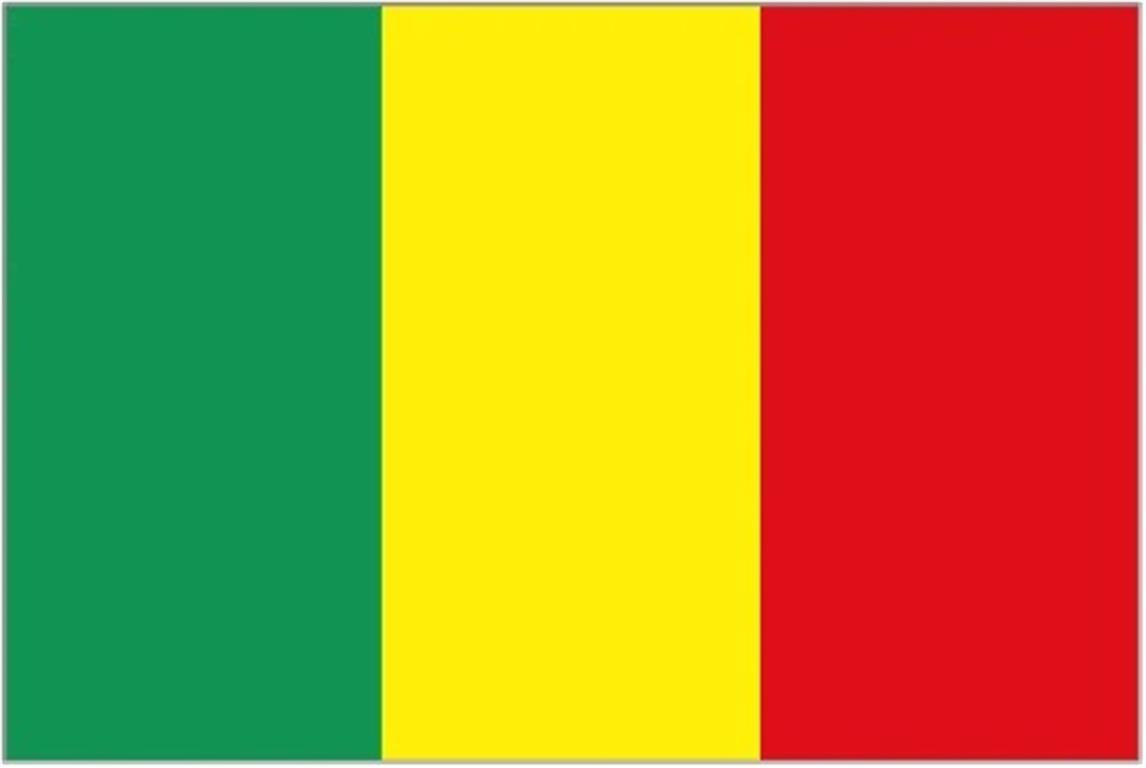 Today’s flag of the day is:

Mali !!

worldflagshop.com/product/mali-5…

#flags #todaysflag #flagoftheday #worldflagshop #worldwideflags #mali