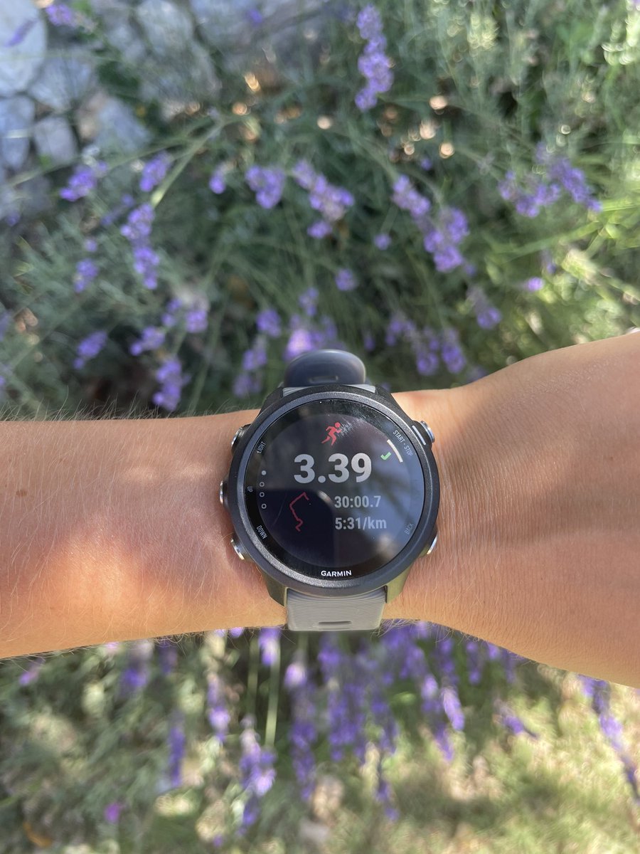 movingmoremiles's tweet photo. ๐จ 3 miles in the heat โ๏ธ
๐ link in bio for in depth reviews
#movingmoremiles #running #runners #runnerspace #run #fitness #runningglobal #onrunning #oncloud #oncloudsurfer #cloudsurfer #shoes #dailytrainer #gym #runninggear #track #spring #summerrunning #trending https://t.co/8lCEYW5zFt