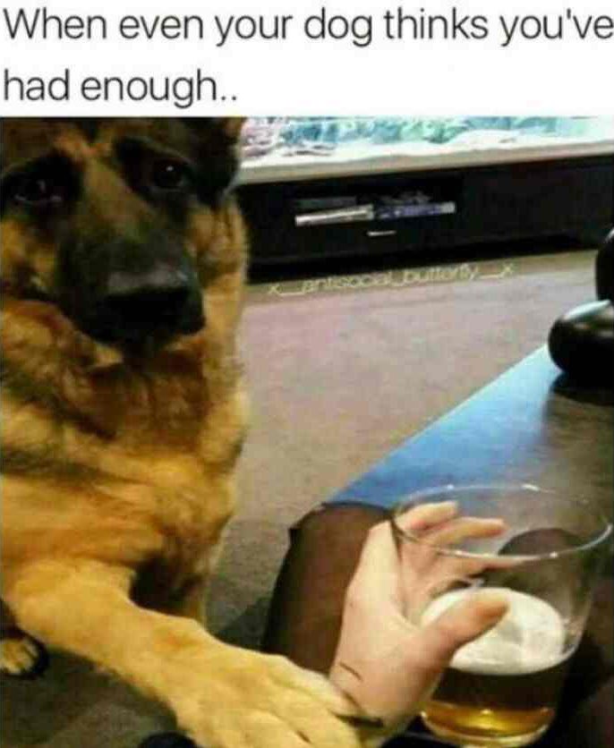 ellelljaytoo's tweet photo. This was #TheFirstTimeI seriously considered rehabโฆ๐พ๐บ
#dogtweet #dogsoftwitter #odaat https://t.co/DA4fvDb2lE