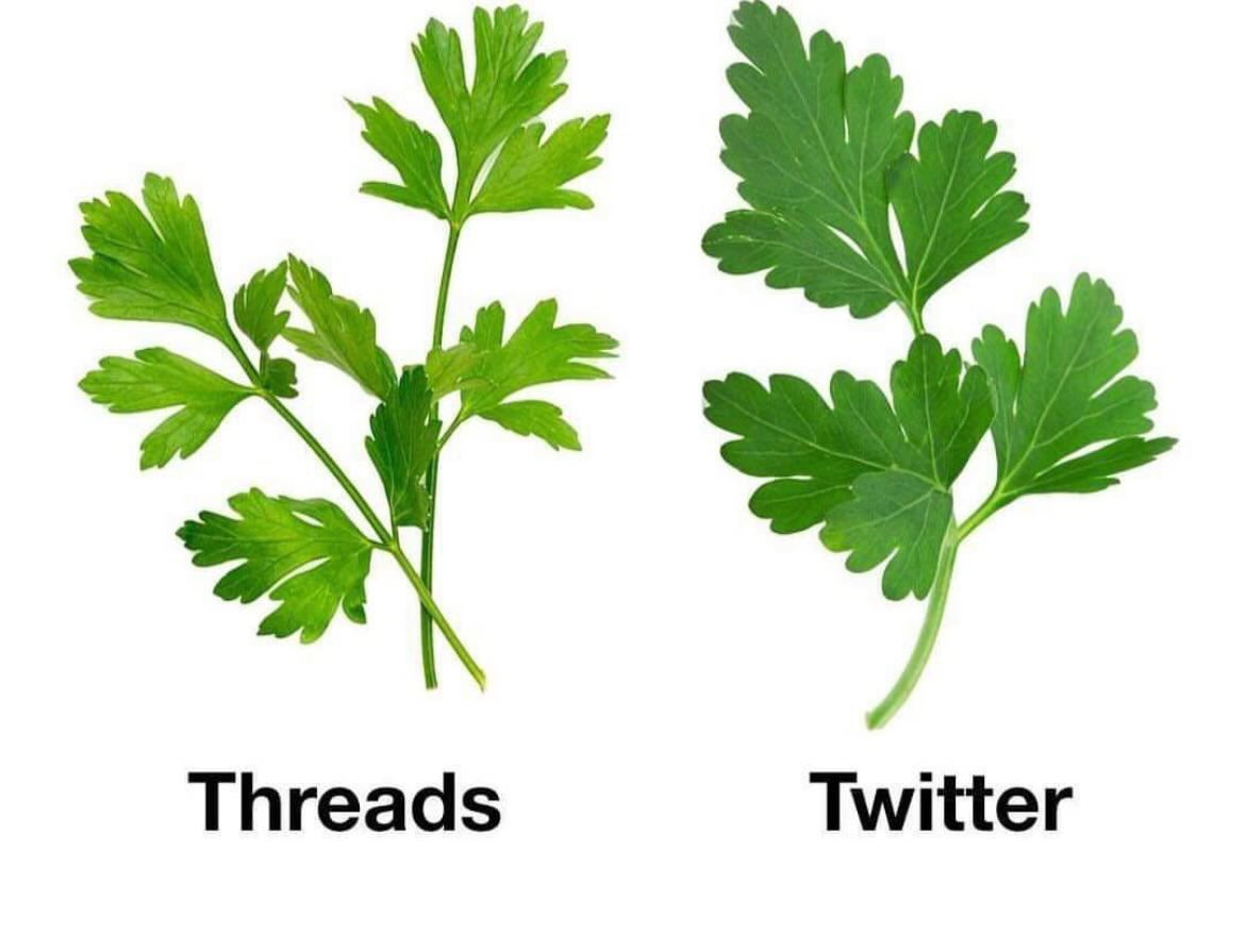 akzureikat's tweet image. Different appearances, but serving the same purpose 😉 #FunctionOverForm