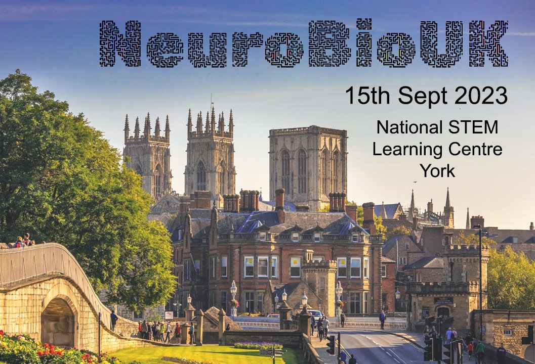 Ines Hahn tweet media