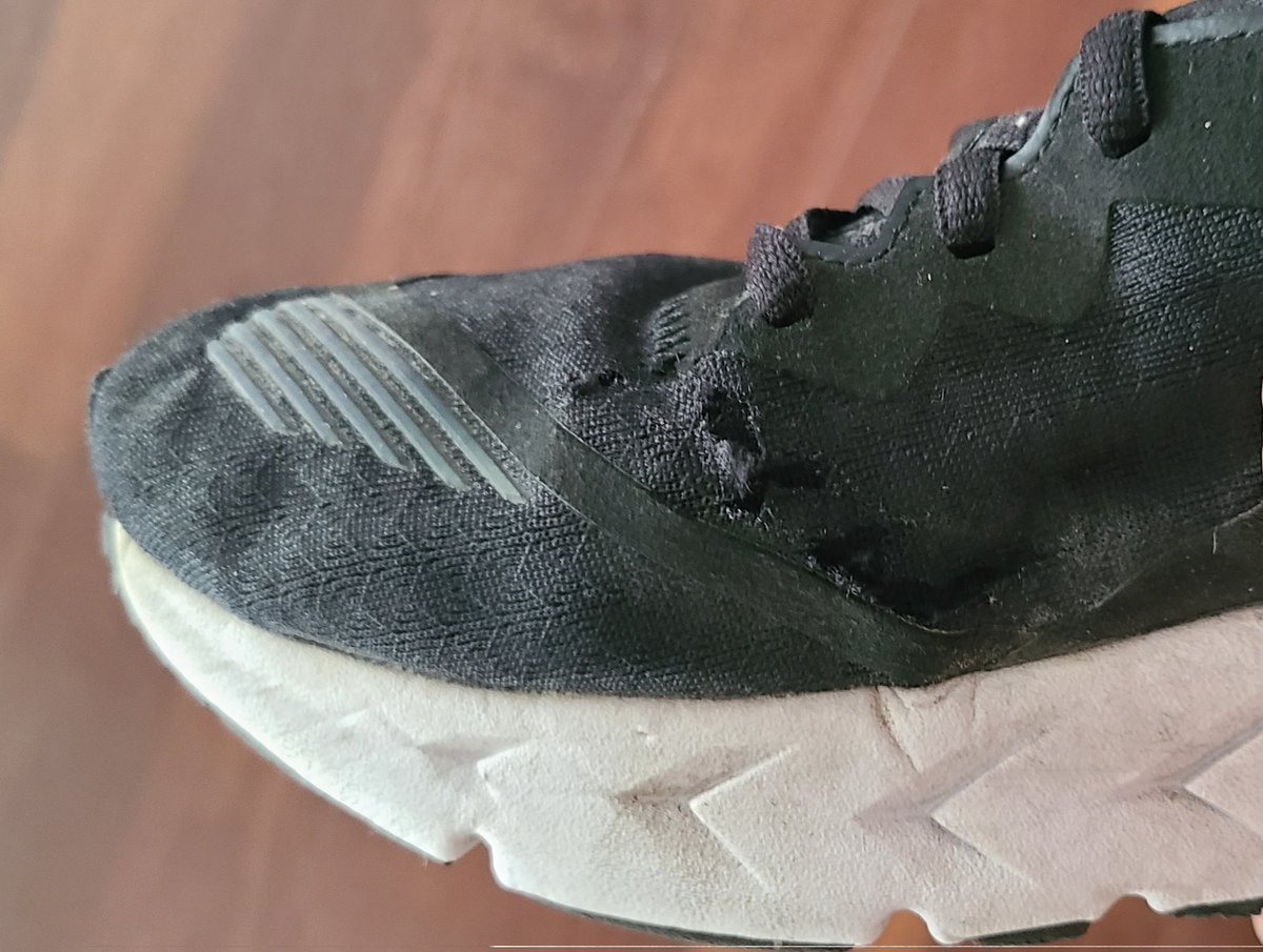 David Provost tweet media