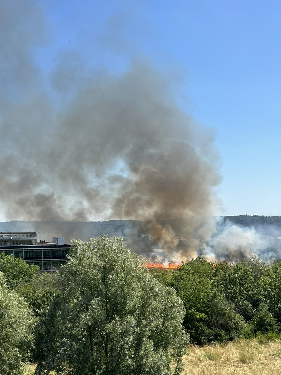 jusju2002's tweet photo. @Feuerwehr_GI Vom Uni Gebäude gegenüber. https://t.co/cmF1XPLuRi
